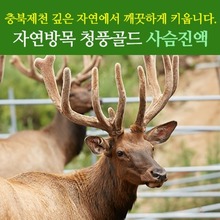 청풍골드 사슴 진액 50포 (10%할인+칡즙 3포증정)
